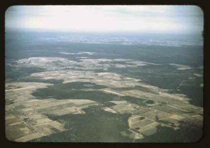 How the Green Revolution Changed Food Production Forever Image